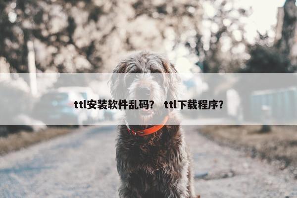 ttl安装软件乱码？ ttl下载程序？
