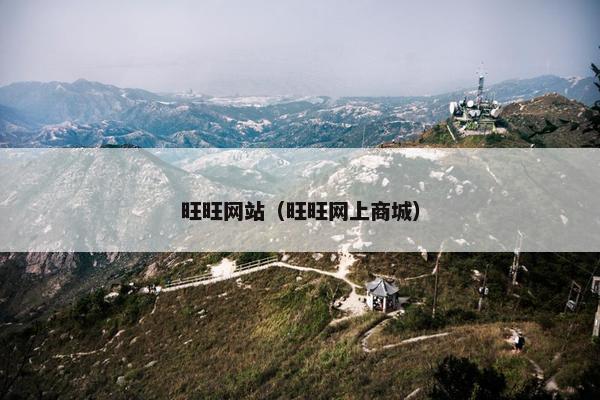 旺旺网站（旺旺网上商城）