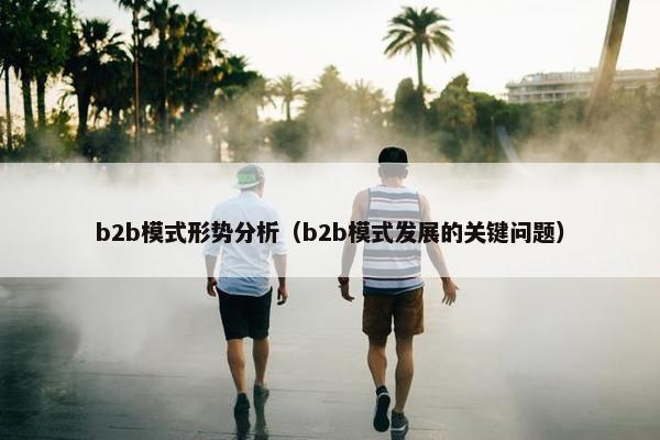 b2b模式形势分析（b2b模式发展的关键问题）