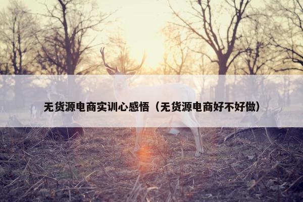 无货源电商实训心感悟（无货源电商好不好做）