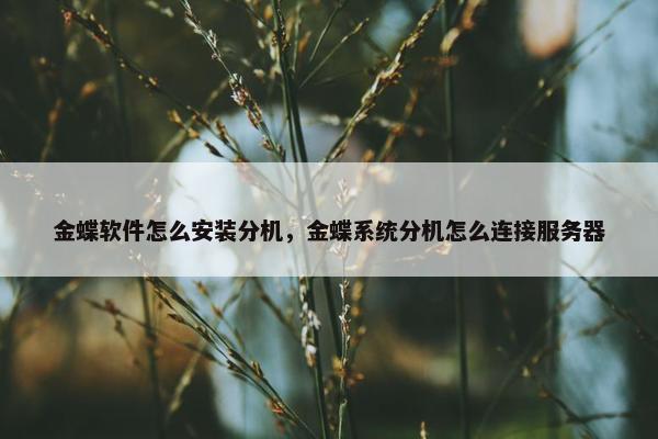 金蝶软件怎么安装分机，金蝶系统分机怎么连接服务器