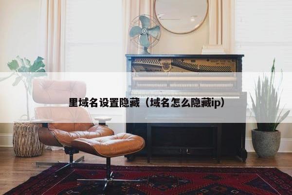 里域名设置隐藏（域名怎么隐藏ip）