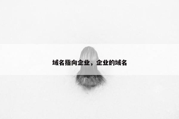 域名指向企业，企业的域名