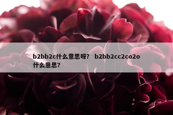b2bb2c什么意思呀？ b2bb2cc2co2o什么意思？
