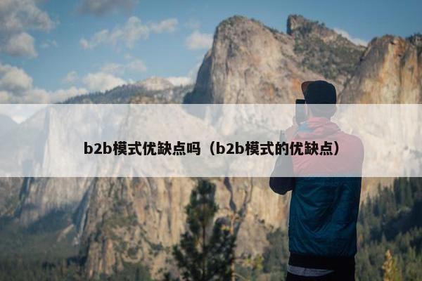 b2b模式优缺点吗（b2b模式的优缺点）