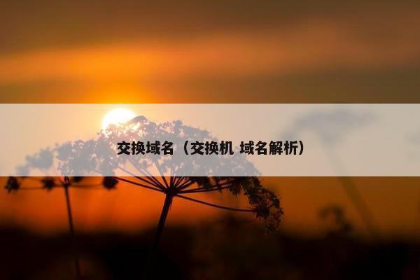 交换域名（交换机 域名解析）