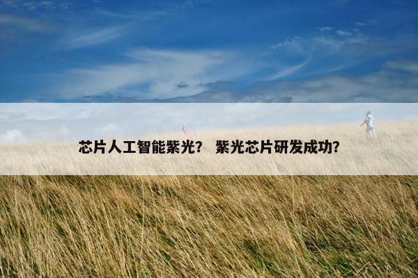 芯片人工智能紫光？ 紫光芯片研发成功？