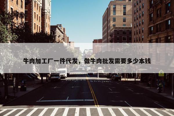 牛肉加工厂一件代发，做牛肉批发需要多少本钱