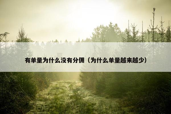 有单量为什么没有分佣（为什么单量越来越少）