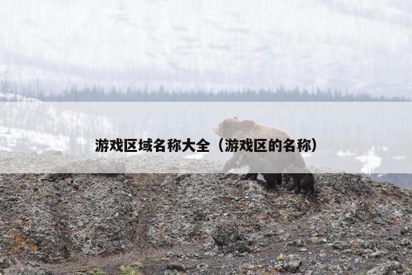 游戏区域名称大全（游戏区的名称）