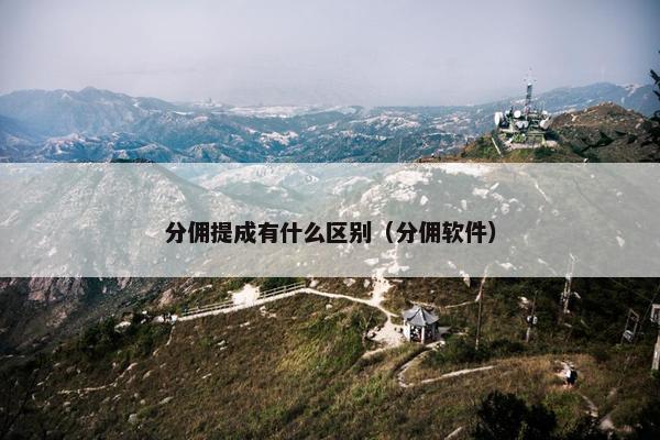 分佣提成有什么区别（分佣软件）