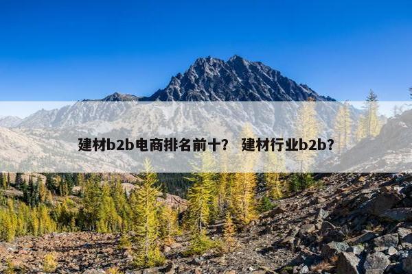 建材b2b电商排名前十？ 建材行业b2b？