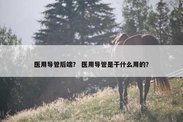 医用导管后端？ 医用导管是干什么用的？