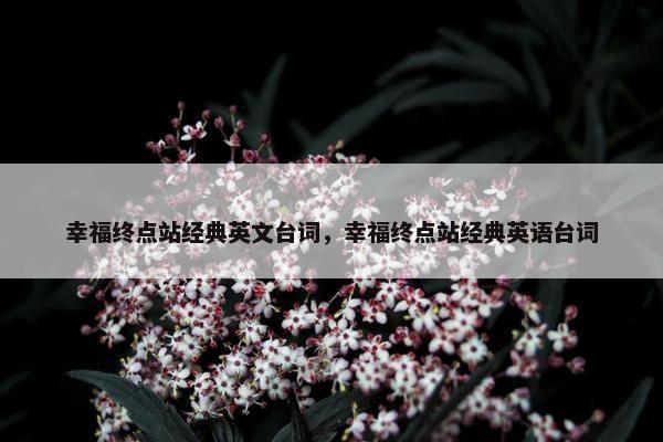幸福终点站经典英文台词，幸福终点站经典英语台词