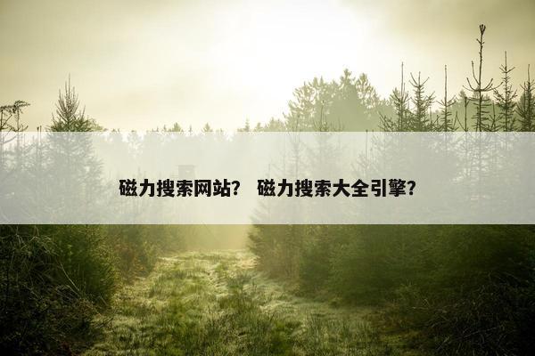 磁力搜索网站？ 磁力搜索大全引擎？