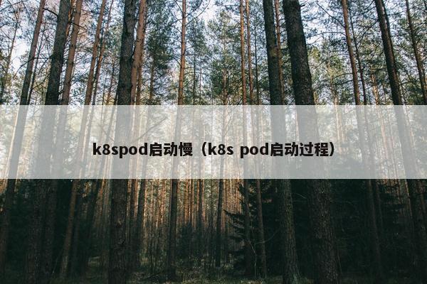 k8spod启动慢（k8s pod启动过程）