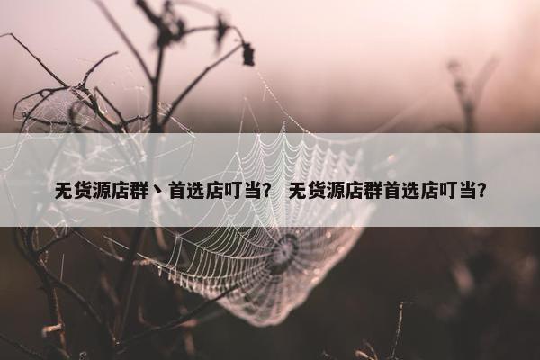 无货源店群丶首选店叮当？ 无货源店群首选店叮当？
