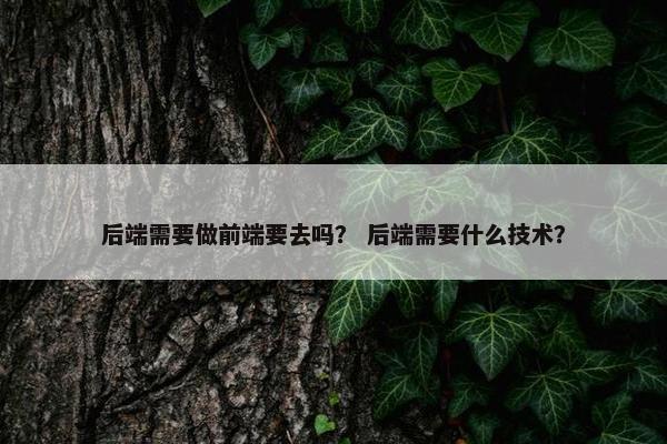 后端需要做前端要去吗？ 后端需要什么技术？