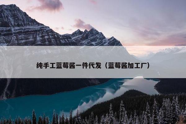纯手工蓝莓酱一件代发（蓝莓酱加工厂）