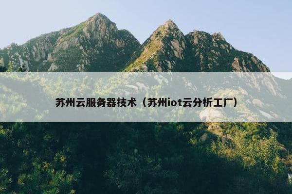 苏州云服务器技术（苏州iot云分析工厂）