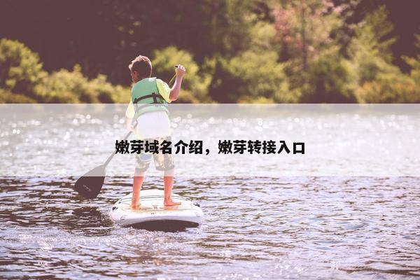 嫩芽域名介绍，嫩芽转接入口