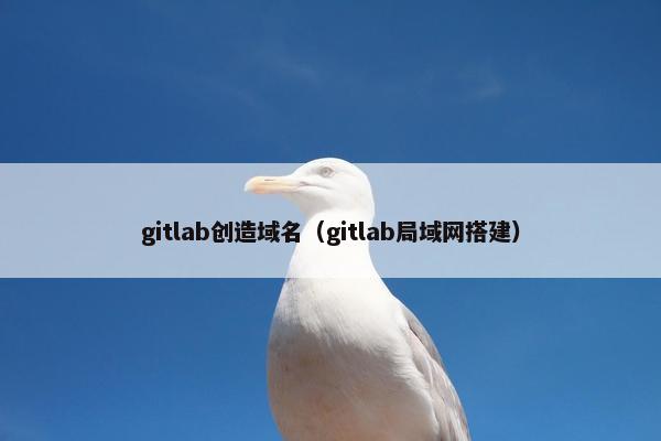 gitlab创造域名（gitlab局域网搭建）