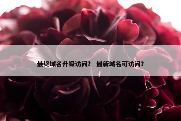 最终域名升级访问？ 最新域名可访问？