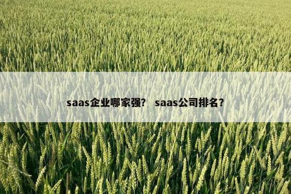 saas企业哪家强？ saas公司排名？