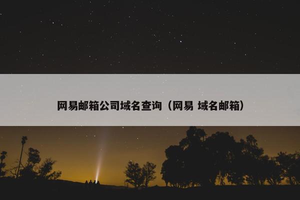 网易邮箱公司域名查询（网易 域名邮箱）
