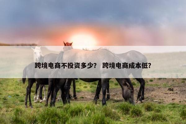 跨境电商不投资多少？ 跨境电商成本低？