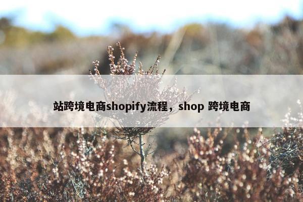 站跨境电商shopify流程，shop 跨境电商