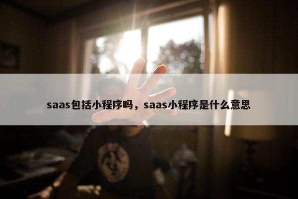 saas包括小程序吗，saas小程序是什么意思