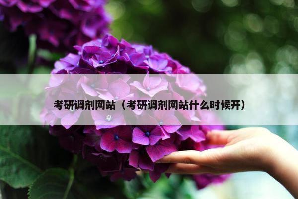 考研调剂网站（考研调剂网站什么时候开）