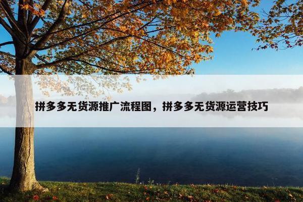 拼多多无货源推广流程图，拼多多无货源运营技巧