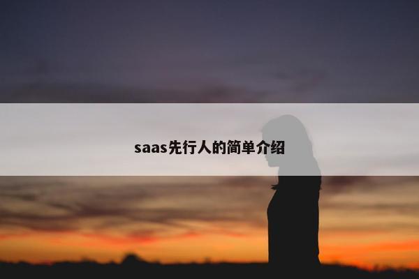 saas先行人的简单介绍