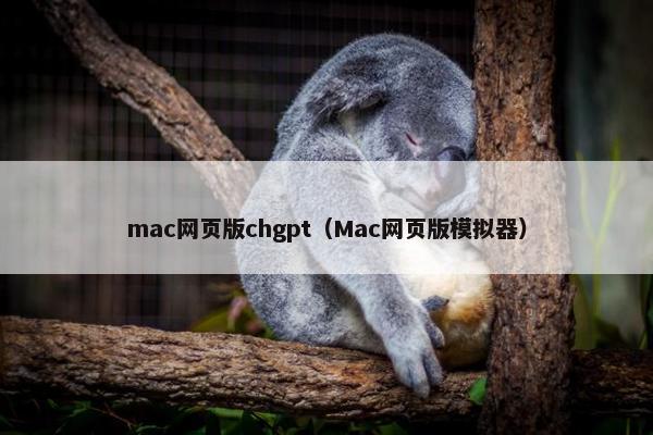mac网页版chgpt（Mac网页版模拟器）