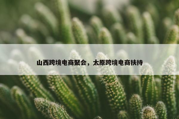 山西跨境电商聚会，太原跨境电商扶持