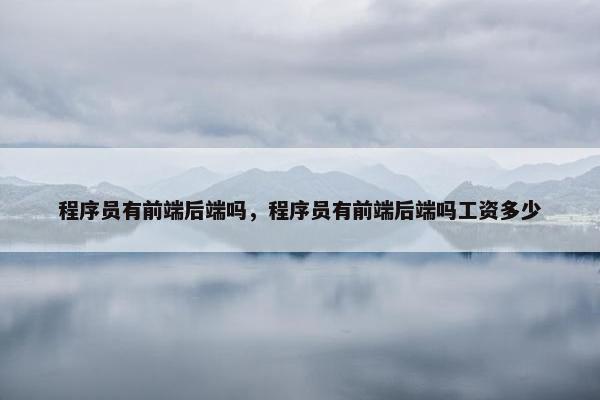 程序员有前端后端吗，程序员有前端后端吗工资多少
