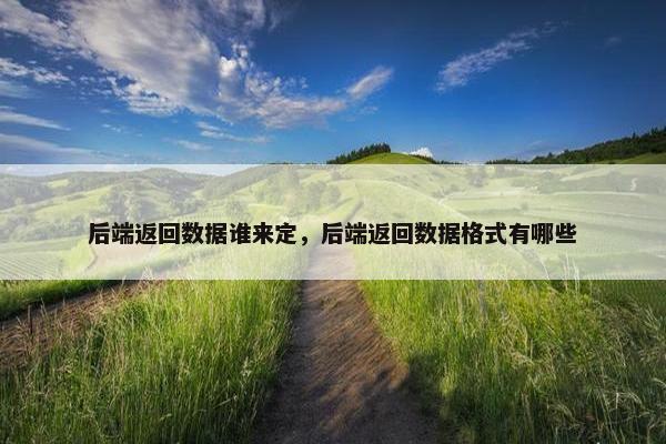 后端返回数据谁来定，后端返回数据格式有哪些