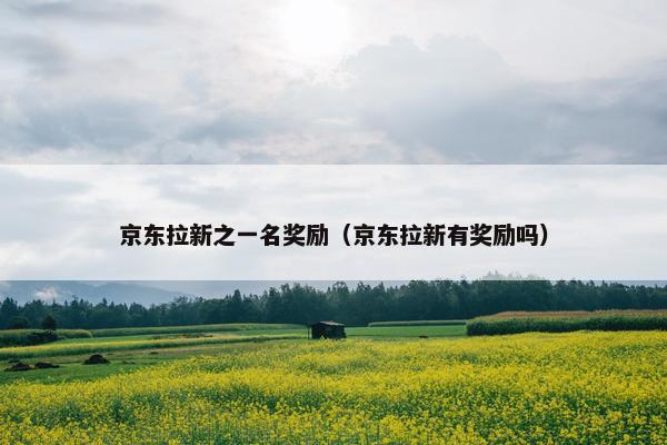 京东拉新之一名奖励（京东拉新有奖励吗）