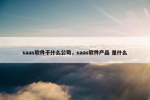 saas软件干什么公司，saas软件产品 是什么