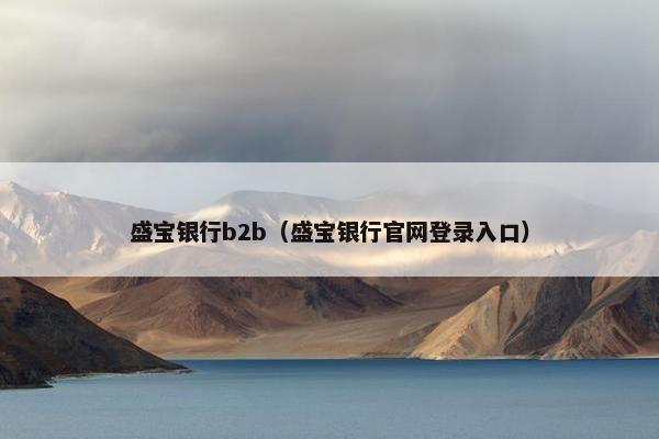 盛宝银行b2b（盛宝银行官网登录入口）