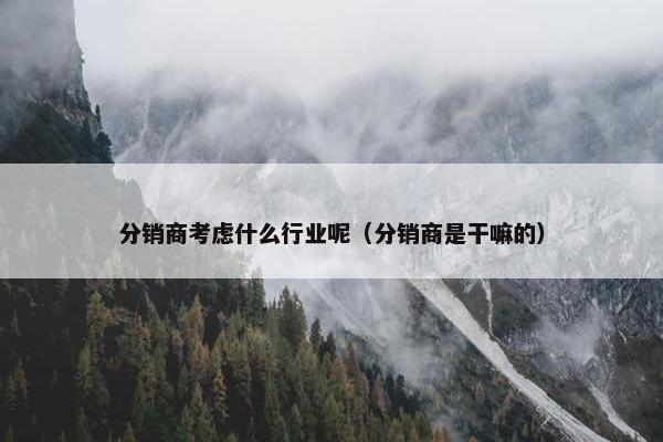 分销商考虑什么行业呢（分销商是干嘛的）