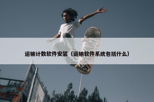 运输计数软件安装（运输软件系统包括什么）