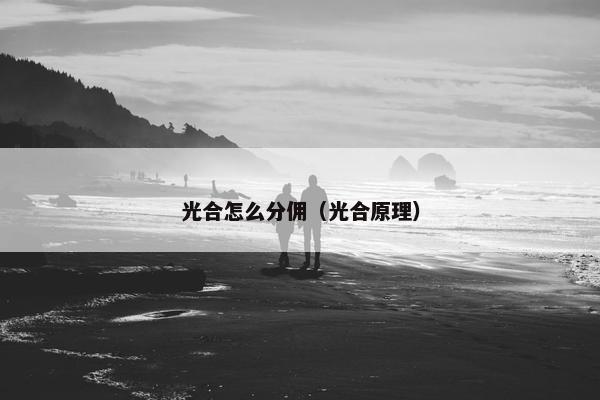光合怎么分佣（光合原理）