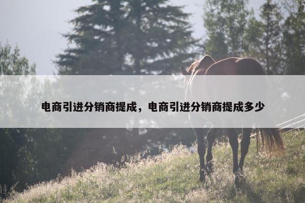 电商引进分销商提成，电商引进分销商提成多少