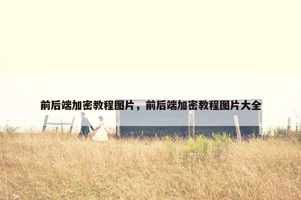 前后端加密教程图片，前后端加密教程图片大全
