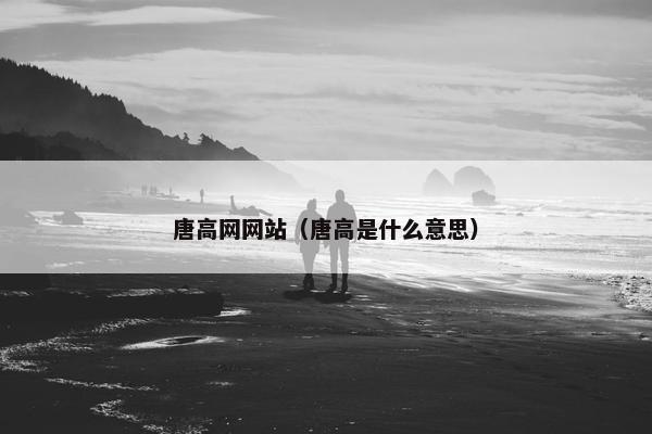 唐高网网站（唐高是什么意思）