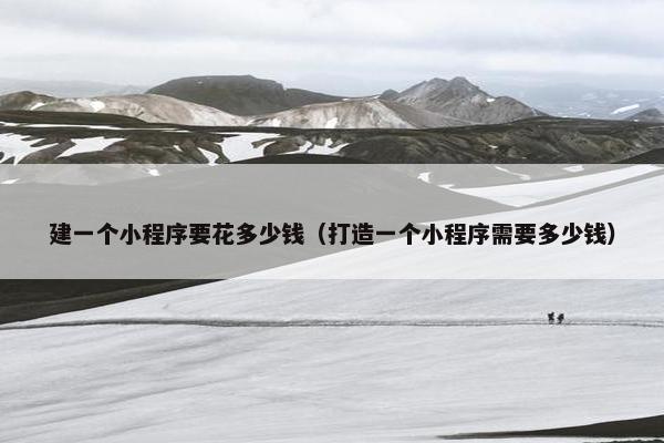 建一个小程序要花多少钱（打造一个小程序需要多少钱）