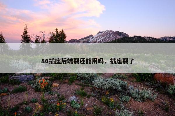 86插座后端裂还能用吗，插座裂了